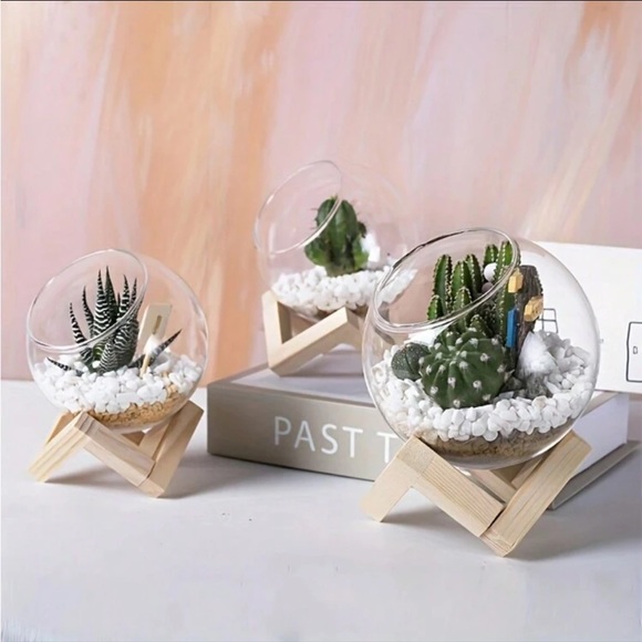 🌵 Cactus/ Succulent/Air Plants Glass Planter with Wooden Stand - Picture 2 of 9